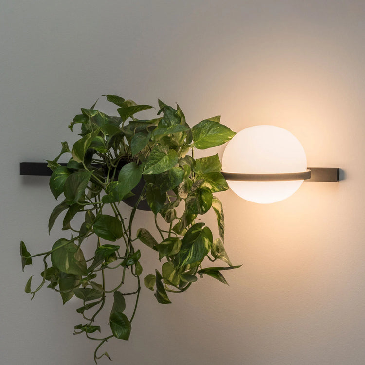Wall Lamps