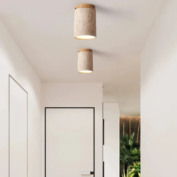 Ceiling Lamps